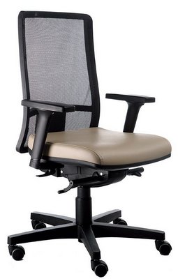 Cadeira Ergonômica Presidente
